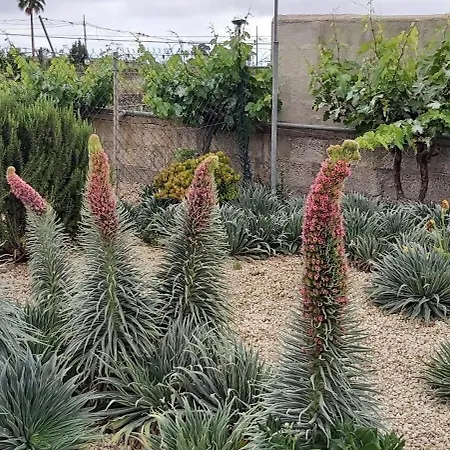 Casa Caperucita *